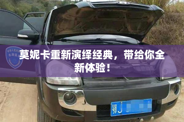 莫妮卡重新演绎经典，带给你全新体验！