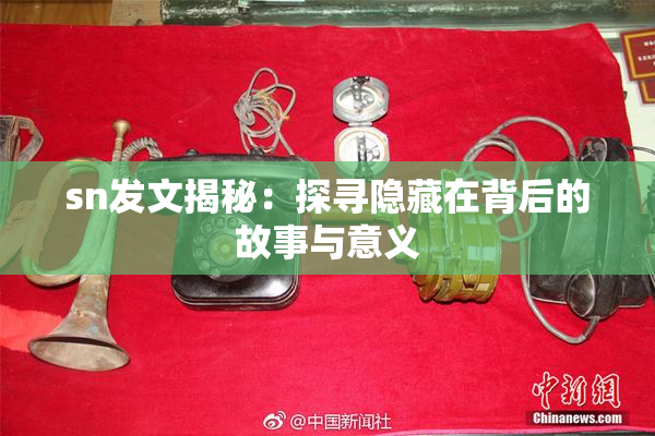 sn发文揭秘：探寻隐藏在背后的故事与意义