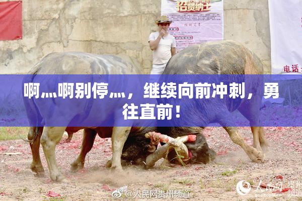 啊灬啊别停灬，继续向前冲刺，勇往直前！