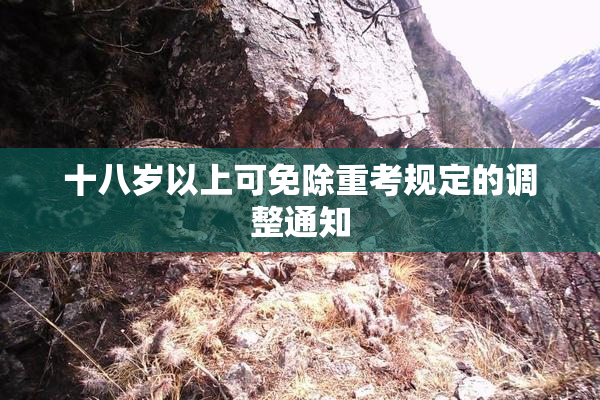 十八岁以上可免除重考规定的调整通知