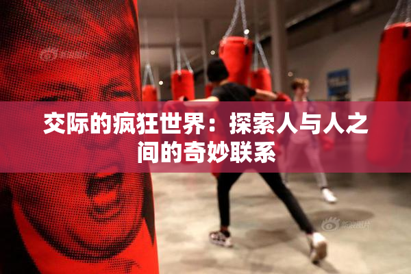 交际的疯狂世界：探索人与人之间的奇妙联系