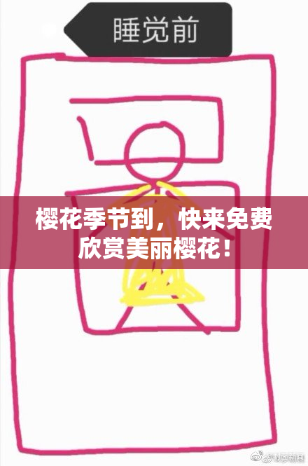 樱花季节到，快来免费欣赏美丽樱花！
