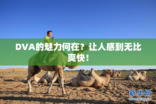 DVA的魅力何在？让人感到无比爽快！