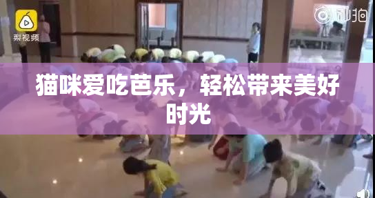 猫咪爱吃芭乐，轻松带来美好时光