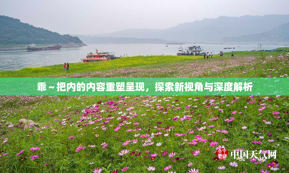 乖～把内的内容重塑呈现，探索新视角与深度解析