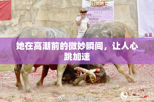 她在高潮前的微妙瞬间，让人心跳加速