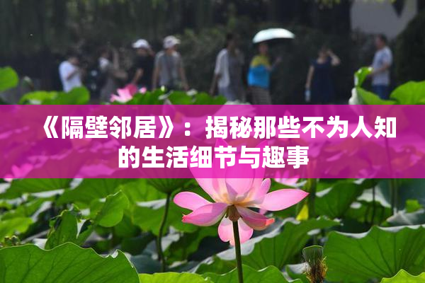 《隔壁邻居》：揭秘那些不为人知的生活细节与趣事