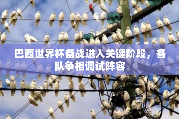 巴西世界杯备战进入关键阶段，各队争相调试阵容