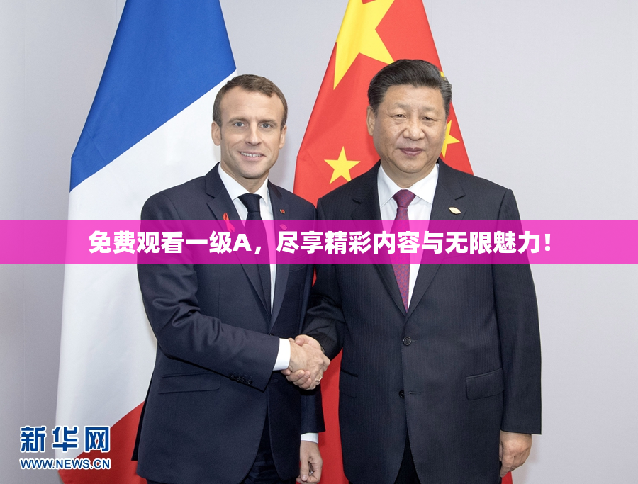 免费观看一级A，尽享精彩内容与无限魅力！