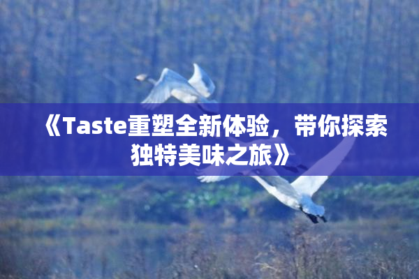 《Taste重塑全新体验，带你探索独特美味之旅》