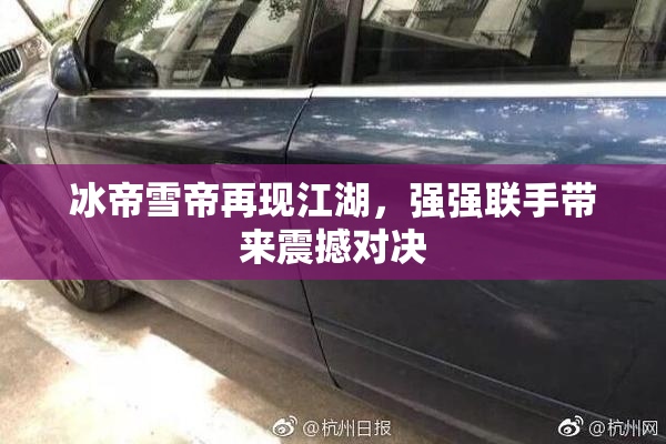 冰帝雪帝再现江湖，强强联手带来震撼对决
