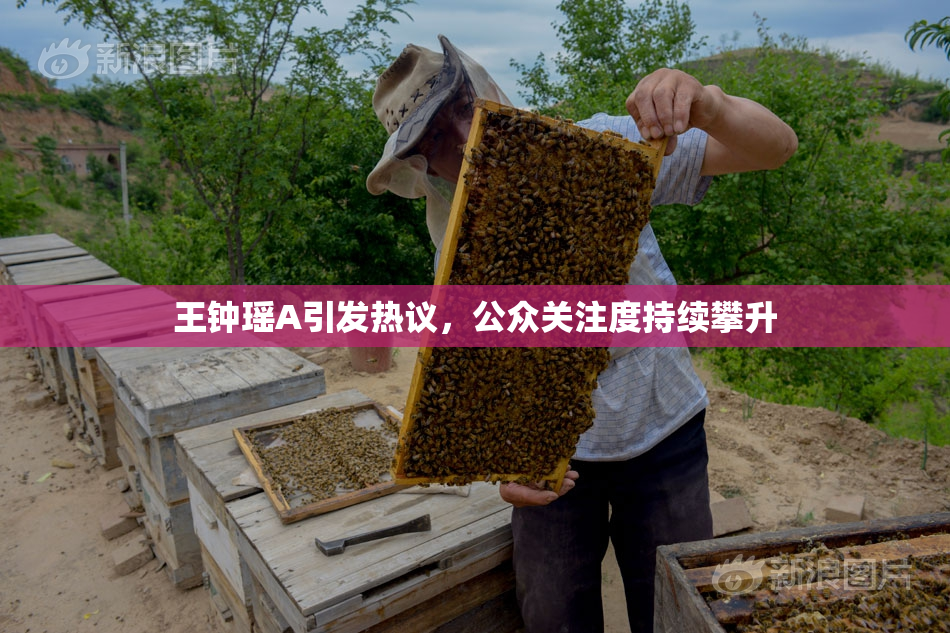 王钟瑶A引发热议，公众关注度持续攀升