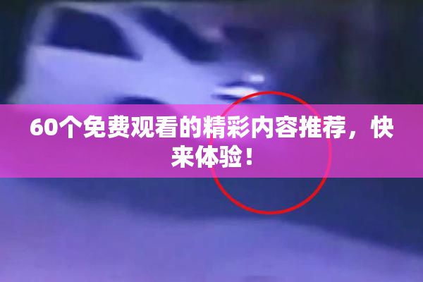 60个免费观看的精彩内容推荐，快来体验！