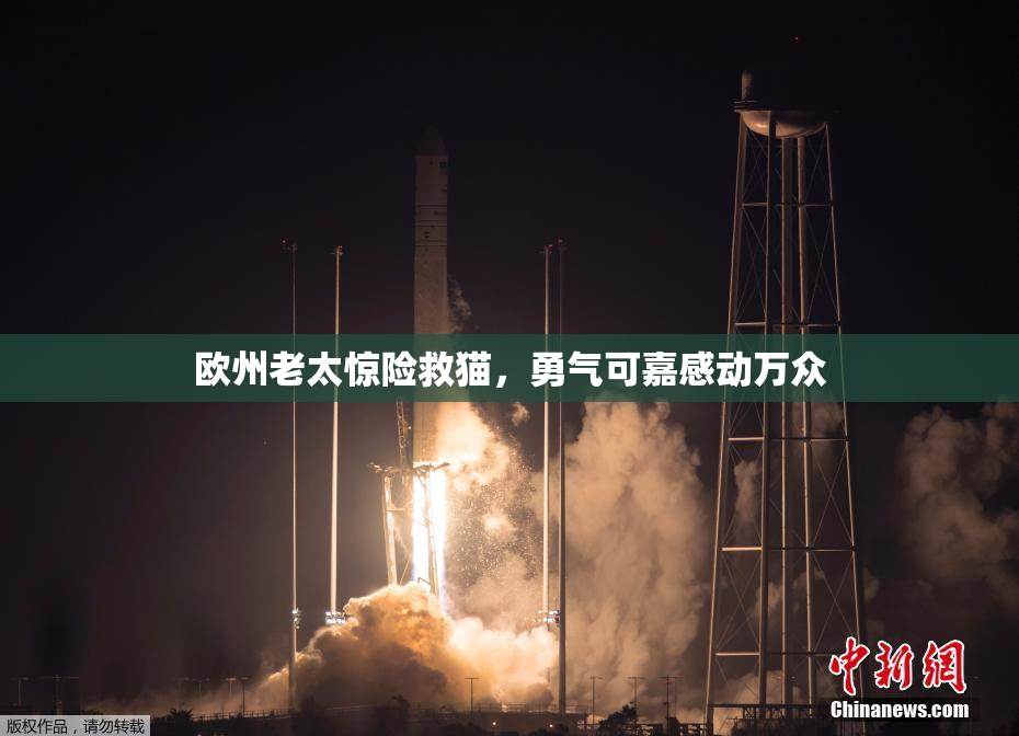 欧州老太惊险救猫，勇气可嘉感动万众