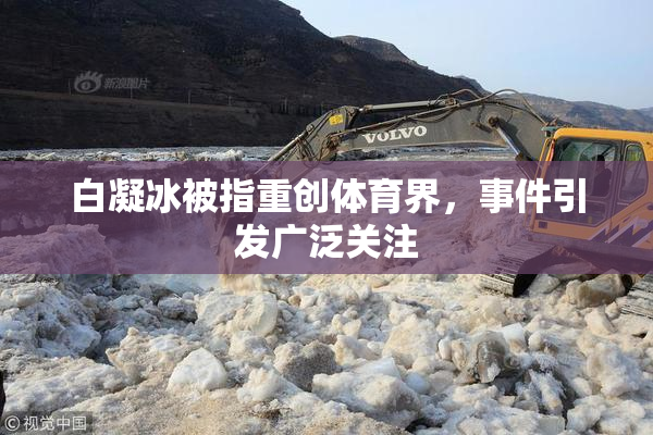 白凝冰被指重创体育界，事件引发广泛关注