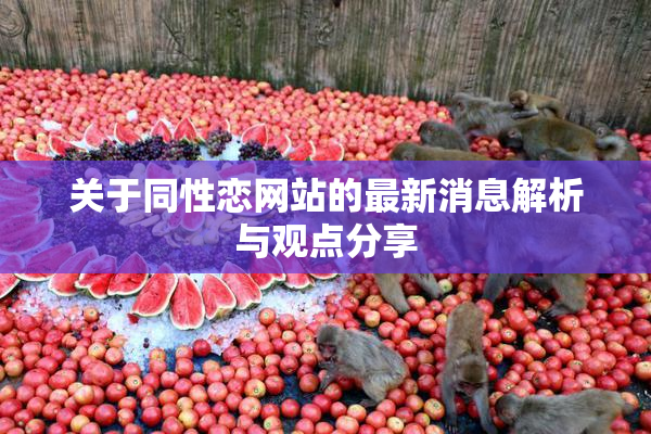 关于同性恋网站的最新消息解析与观点分享