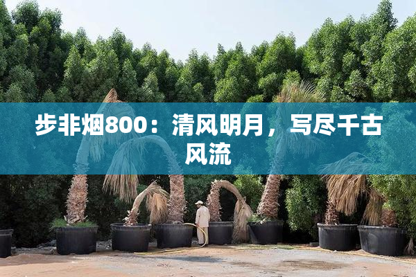 步非烟800：清风明月，写尽千古风流
