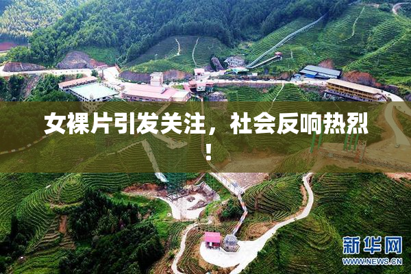 女裸片引发关注，社会反响热烈！