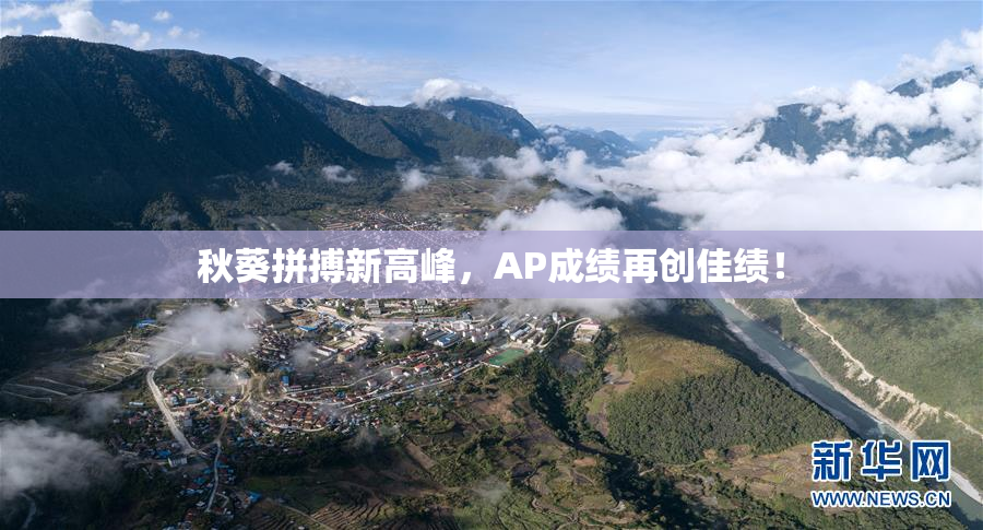 秋葵拼搏新高峰，AP成绩再创佳绩！