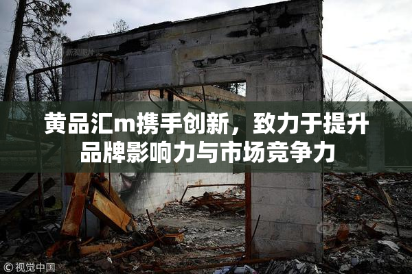 黄品汇m携手创新，致力于提升品牌影响力与市场竞争力