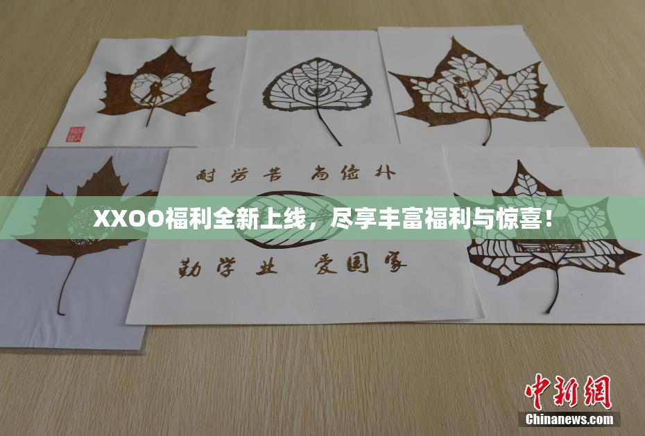 XXOO福利全新上线，尽享丰富福利与惊喜！