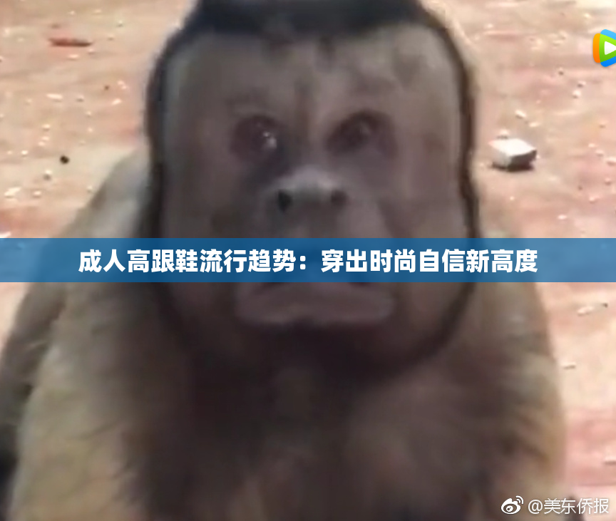 成人高跟鞋流行趋势：穿出时尚自信新高度
