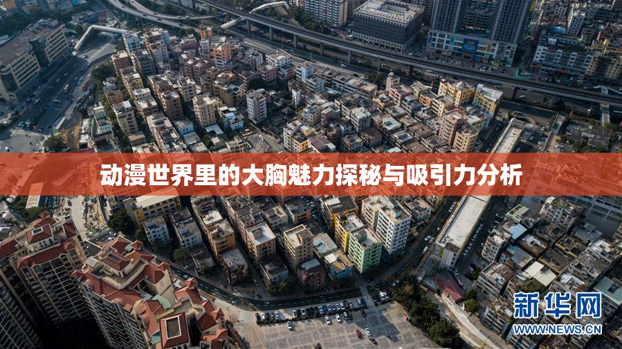 动漫世界里的大胸魅力探秘与吸引力分析