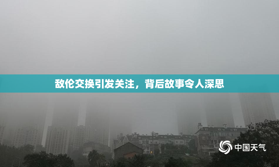 敌伦交换引发关注，背后故事令人深思