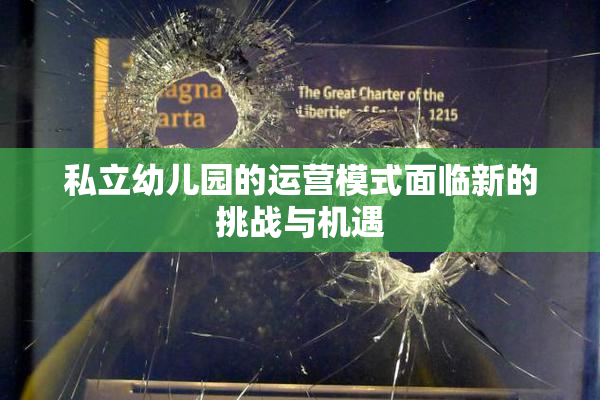私立幼儿园的运营模式面临新的挑战与机遇