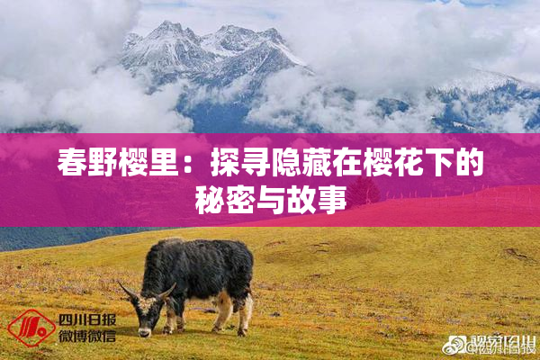 春野樱里：探寻隐藏在樱花下的秘密与故事