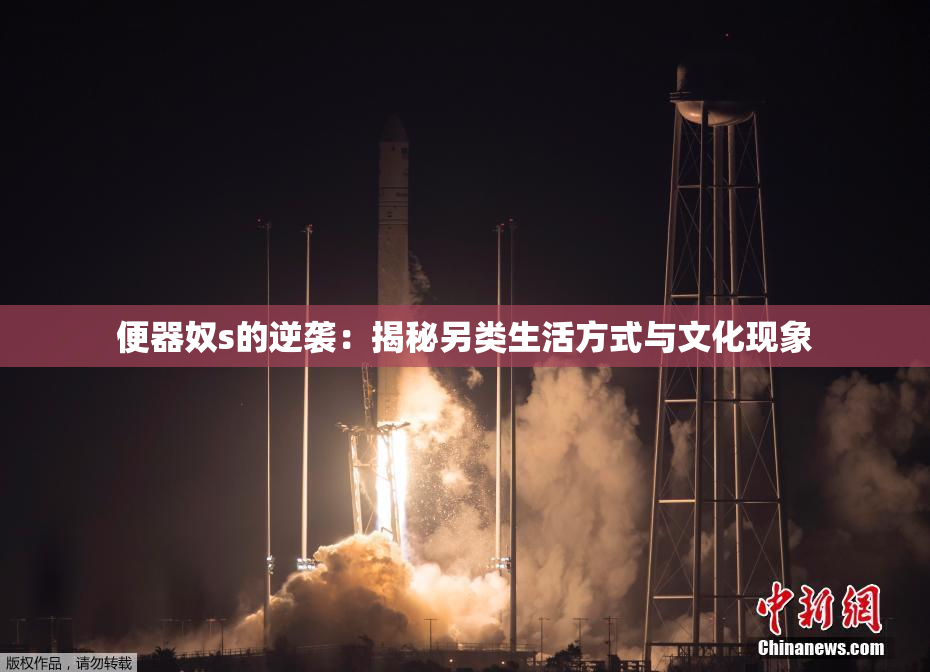 便器奴s的逆袭：揭秘另类生活方式与文化现象
