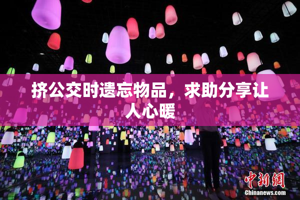 挤公交时遗忘物品，求助分享让人心暖