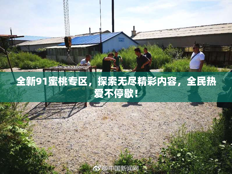 全新91蜜桃专区，探索无尽精彩内容，全民热爱不停歇！