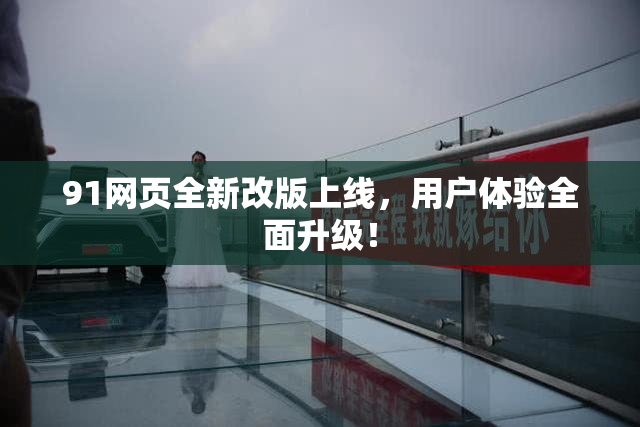 91网页全新改版上线，用户体验全面升级！