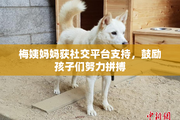 梅姨妈妈获社交平台支持，鼓励孩子们努力拼搏