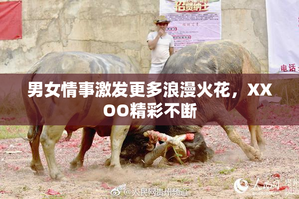 男女情事激发更多浪漫火花，XXOO精彩不断