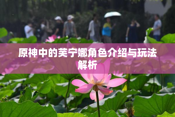 原神中的芙宁娜角色介绍与玩法解析
