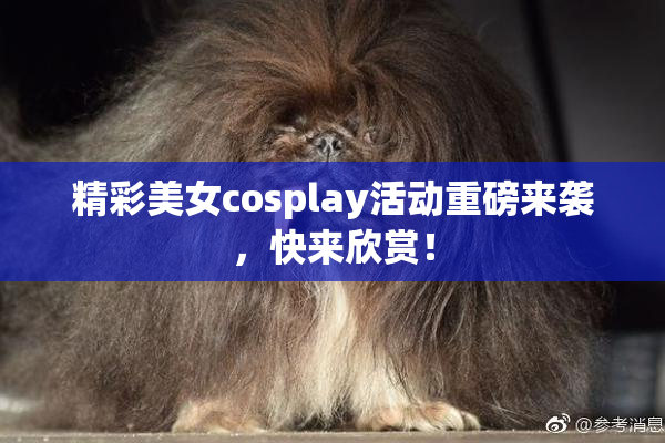 精彩美女cosplay活动重磅来袭，快来欣赏！