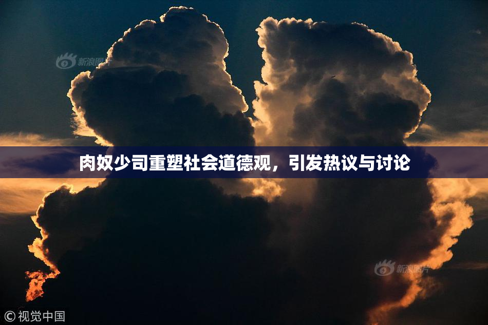 肉奴少司重塑社会道德观，引发热议与讨论