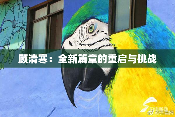 顾清寒：全新篇章的重启与挑战