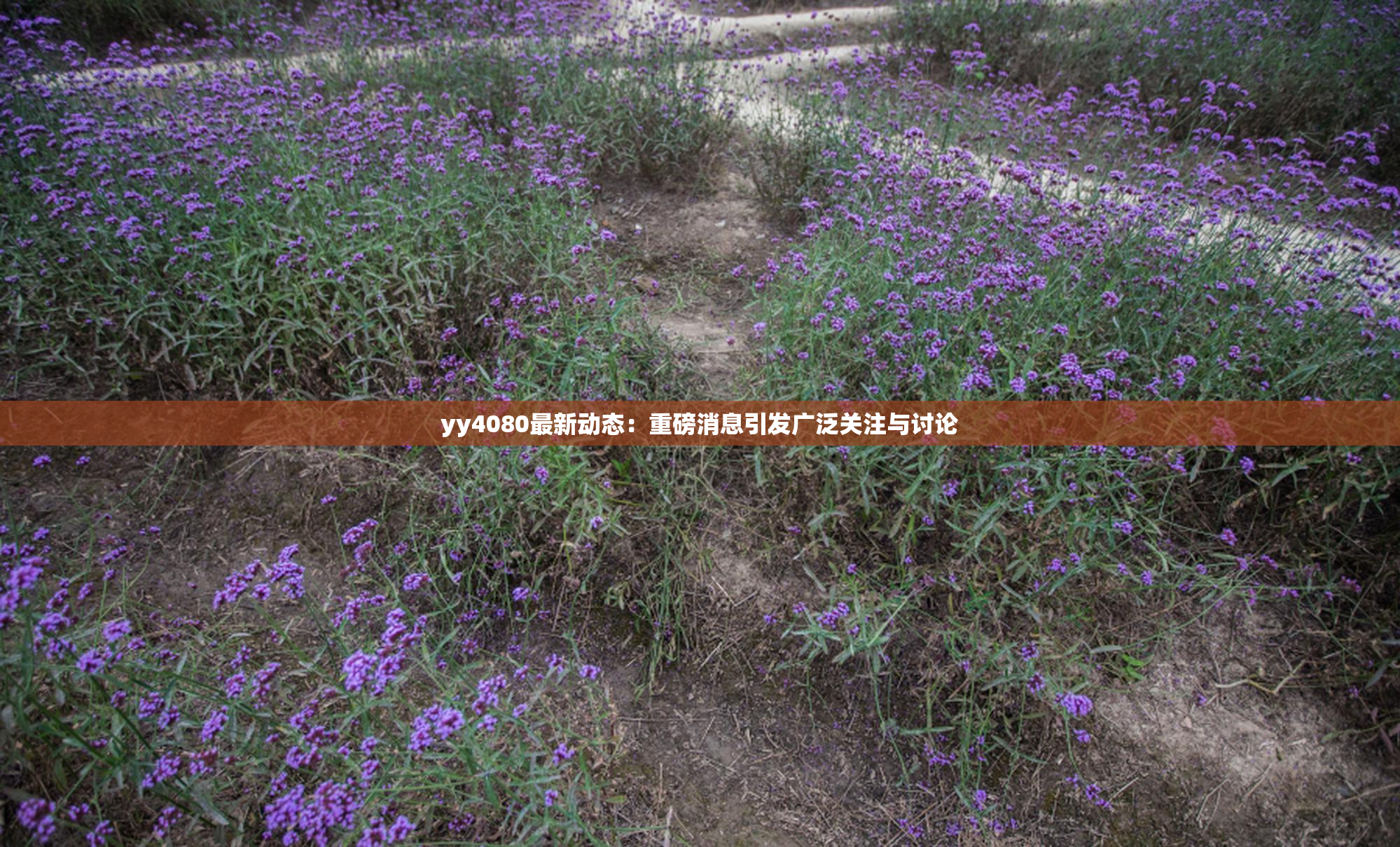 yy4080最新动态：重磅消息引发广泛关注与讨论