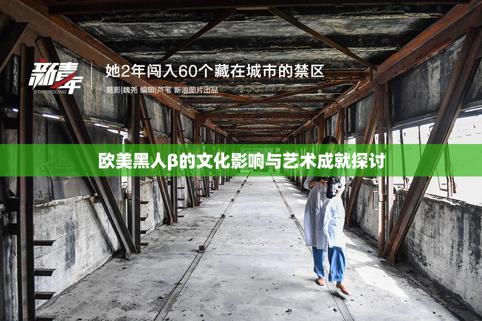 欧美黑人β的文化影响与艺术成就探讨