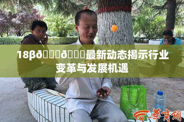 18β🍆🍑最新动态揭示行业变革与发展机遇
