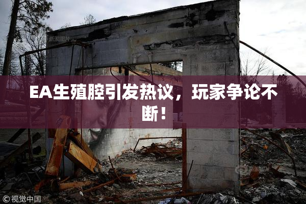 EA生殖腔引发热议，玩家争论不断！