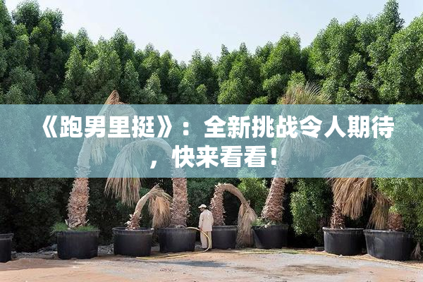 《跑男里挺》：全新挑战令人期待，快来看看！