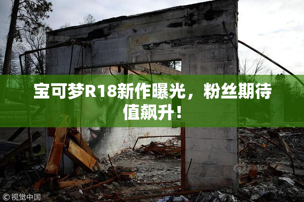 宝可梦R18新作曝光，粉丝期待值飙升！