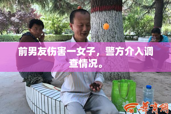 前男友伤害一女子，警方介入调查情况。