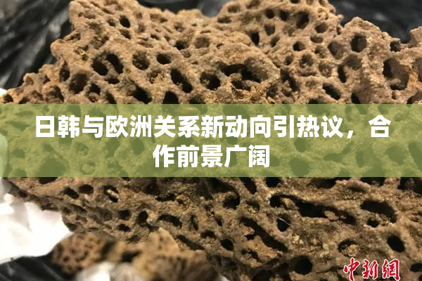日韩与欧洲关系新动向引热议，合作前景广阔