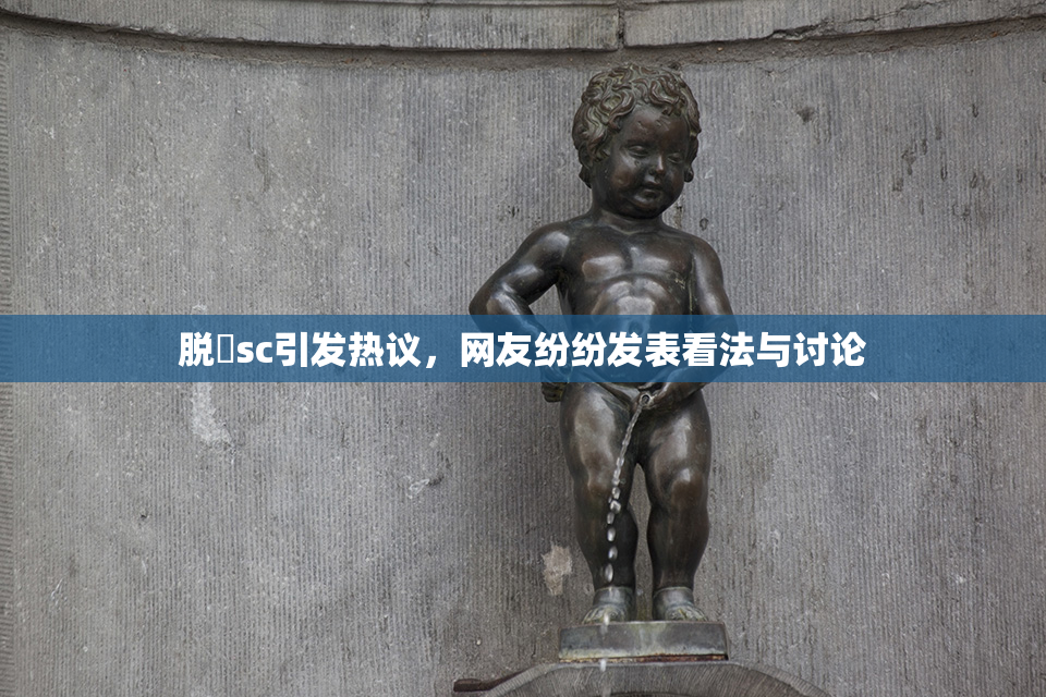脱糞sc引发热议，网友纷纷发表看法与讨论