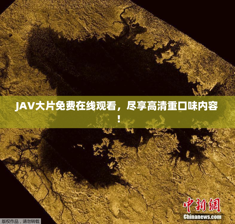 JAV大片免费在线观看，尽享高清重口味内容！